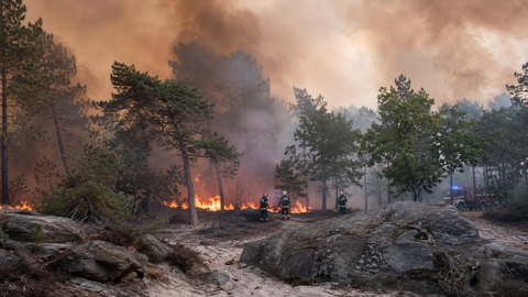 Pompiers intervenant face à un incendie dans la forêt de Fontainebleau, au milieu des pins, des rochers et d’une épaisse fumée.